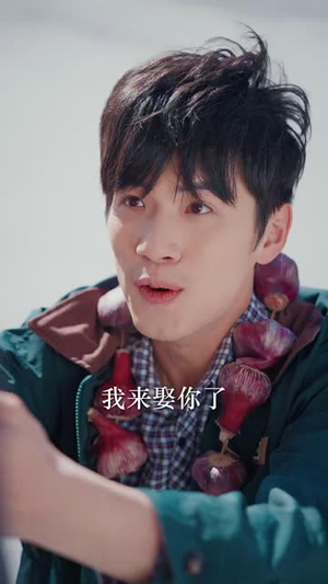 【山鸡不是凤凰（52集）】短剧全集免费一键观看-第1张图片-热搜短剧最新分享