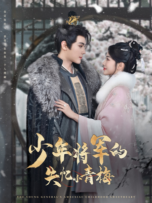 【少年将军的失忆小青梅（100集）】短剧全集高清流畅播放-第1张图片-热搜短剧最新分享