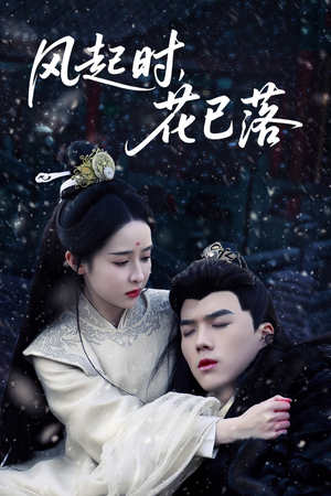 【风起时，花已落（49集）】短剧全集免费高清播放-第1张图片-热搜短剧最新分享