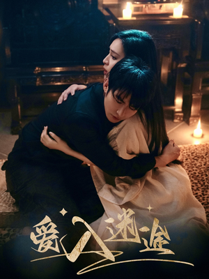 【爱入迷途（67集）】短剧高清全集免费畅享-第1张图片-热搜短剧最新分享