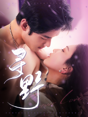 【寻野（100集）】热门短剧免费完整版观看-第1张图片-热搜短剧最新分享