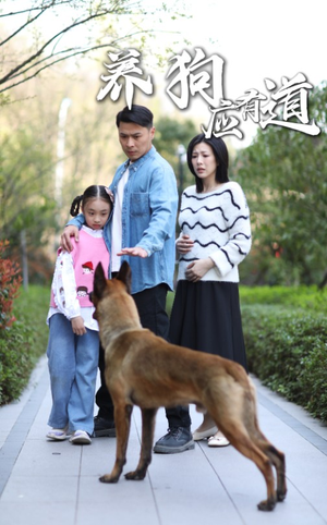 【养狗应有道（60集）】优质短剧在线高清放送-第1张图片-热搜短剧最新分享