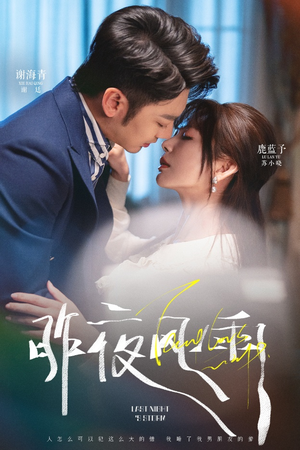 【昨夜风雨（63集）】免费短剧全集高清观看-第1张图片-热搜短剧最新分享