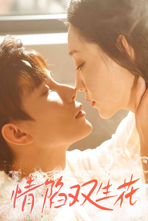 【情陷双生花（30集）】短剧热播免费一键观看-第1张图片-热搜短剧最新分享