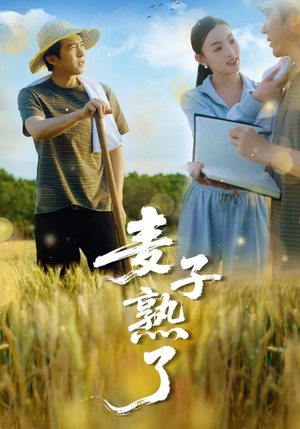 【麦子熟了（52集）】高清短剧免费全集畅享-第1张图片-热搜短剧最新分享