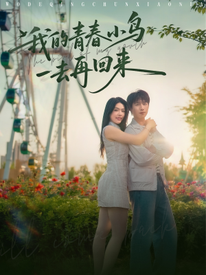 【我的青春小鸟一去再回来（95集）】短剧高清全集在线赏-第1张图片-热搜短剧最新分享