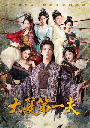 【大夏第一夫（90集）】免费短剧全集高清在线-第1张图片-热搜短剧最新分享