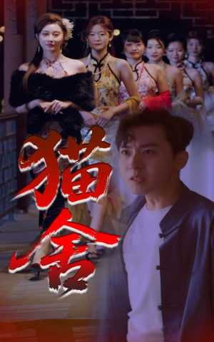 【猫舍（34集）】短剧完整版在线免费品-第1张图片-热搜短剧最新分享