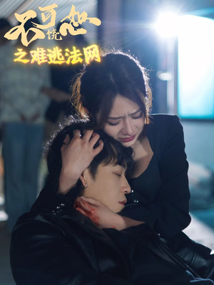 【不可饶恕之难逃法网（20集）】短剧在线看全集不卡顿-第1张图片-热搜短剧最新分享