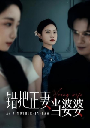 【错把正妻当婆婆（46集）】短剧高清全集免费在线赏-第1张图片-热搜短剧最新分享