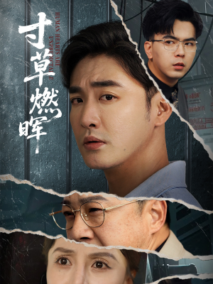 【寸草燃晖（70集）】热门短剧在线免费播放-第1张图片-热搜短剧最新分享