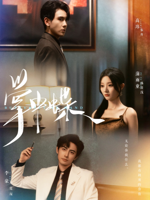 【掌中蝶（84集）】短剧全集免费在线速览-第1张图片-热搜短剧最新分享