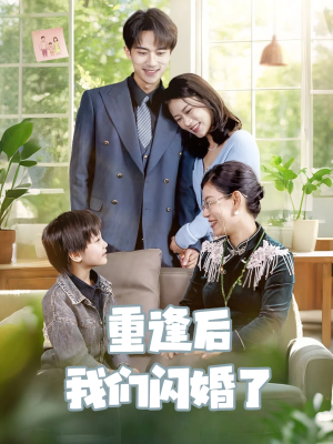 【重逢后我们闪婚了（35集）】超火短剧完整版观看-第1张图片-热搜短剧最新分享