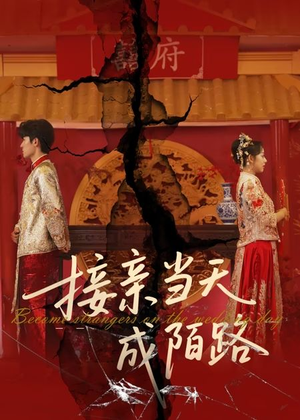 【接亲当天成陌路（50集）】短剧免费看完整版-第1张图片-热搜短剧最新分享