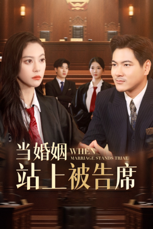 【当婚姻站上被告席（30集）】热门短剧在线一看到底-第1张图片-热搜短剧最新分享
