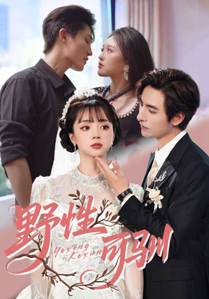 【野性可驯（63集）】免费短剧完整版在线览-第1张图片-热搜短剧最新分享