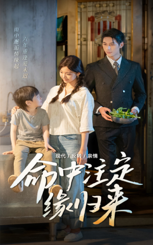 【命中注定缘归来（63集）】在线短剧完整版速览-第1张图片-热搜短剧最新分享