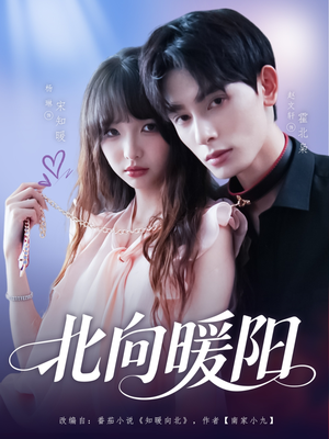 【北向暖阳（80集）】超火短剧全集免费速看-第1张图片-热搜短剧最新分享