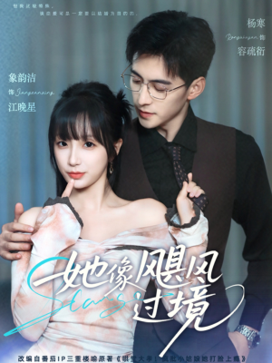 【她像飓风过境（81集）】短剧超清全集在线追更-第1张图片-热搜短剧最新分享