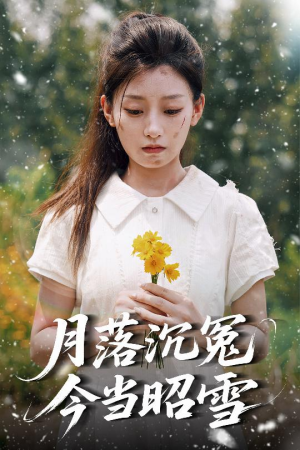 【月落沉冤今当昭雪（60集）】免费短剧完整版在线看-第1张图片-热搜短剧最新分享