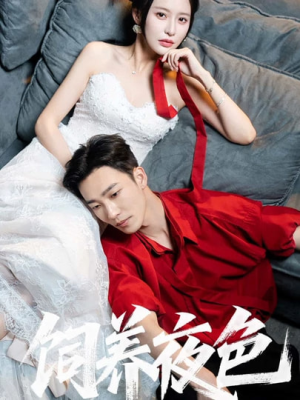 【饲养夜色（86集）】短剧全集高清免费看-第1张图片-热搜短剧最新分享