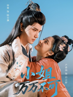 【小姐万万不可（74集）】爆款短剧全集在线速览-第1张图片-热搜短剧最新分享