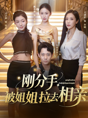 【刚分手被姐姐拉去相亲（73集）】短剧全集免费在线览-第1张图片-热搜短剧最新分享