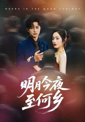 【明月今夜至何乡（70集）】全网独播短剧免费看全集-第1张图片-热搜短剧最新分享