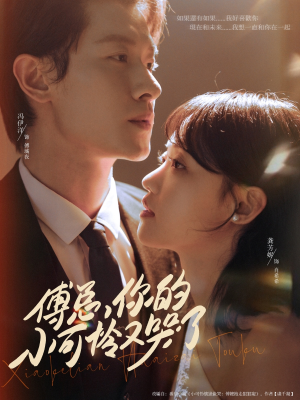 【傅总你的小可怜又哭了（80集）】热门短剧无广告在线追-第1张图片-热搜短剧最新分享