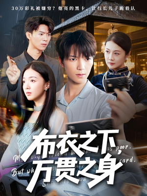 【布衣之下，万贯之身（74集）】免费短剧在线完整看-第1张图片-热搜短剧最新分享