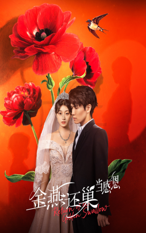 【金燕还巢当感恩（55集）】短剧高清全集免费点播-第1张图片-热搜短剧最新分享