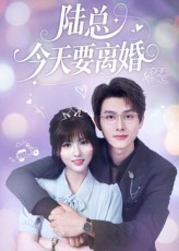 【陆总今天要离婚（81集）】高清短剧全集免费赏-第1张图片-热搜短剧最新分享