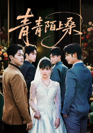 【青青陌上桑（70集）】高清短剧在线一览无余-第1张图片-热搜短剧最新分享