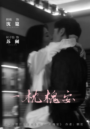 【一枕槐安（80集）】短剧全集免费在线畅播-第1张图片-热搜短剧最新分享