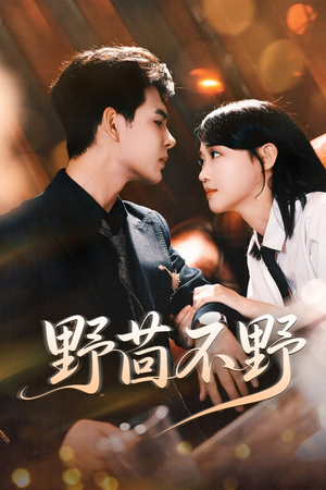 【野茴不野（67集）】免费短剧全集高清观看-第1张图片-热搜短剧最新分享