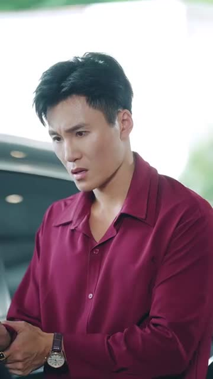 【无敌贾二虎&贾二虎的妖孽人生 (80集)】精彩短剧全集免费畅享-第1张图片-热搜短剧最新分享