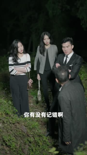 【将军请上车 (91集)】免费在线短剧全集览-第1张图片-热搜短剧最新分享