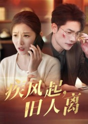 【疾风起旧人离（32集）】短剧高清全集免费观赏-第1张图片-热搜短剧最新分享