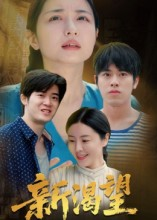 【新渴望（30集）】高清短剧免费畅享全集-第1张图片-热搜短剧最新分享