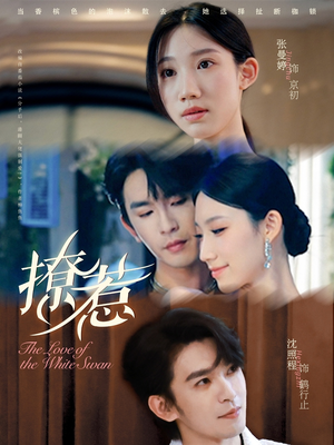 【撩惹（80集）】热门短剧完整版在线赏-第1张图片-热搜短剧最新分享