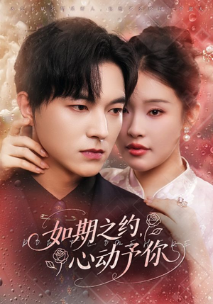 【如期之约心动予你（82集）】短剧全集免费在线览观-第1张图片-热搜短剧最新分享