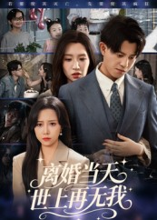 【离婚当天世上再无我（60集）】精彩短剧免费全集速看-第1张图片-热搜短剧最新分享