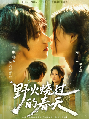 【野火烧过的春天（85集）】热门短剧高清在线速看-第1张图片-热搜短剧最新分享
