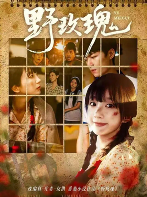 【野玫瑰（82集）】精彩短剧免费高清观看-第1张图片-热搜短剧最新分享