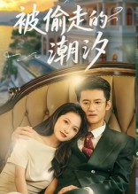 【被偷走的潮汐（60集）】免费短剧全集高清流畅播放-第1张图片-热搜短剧最新分享