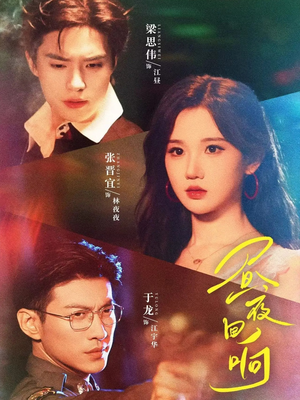 【昼夜回响（76集）】短剧完整版免费在线品鉴-第1张图片-热搜短剧最新分享