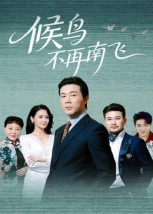 【候鸟不再南飞（80集）】爆款短剧在线流畅追看-第1张图片-热搜短剧最新分享