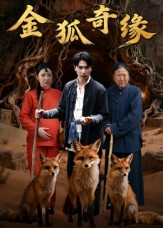【金狐奇缘（42集）】短剧全辑免费在线欣赏-第1张图片-热搜短剧最新分享