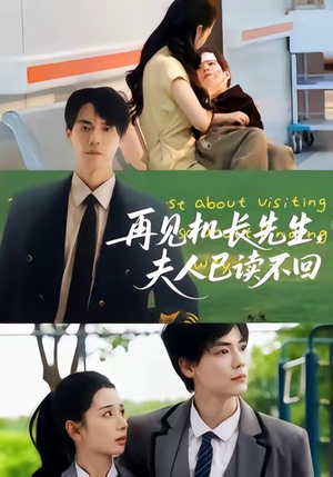 【再见机长先生夫人已读不回（62集）】热门短剧在线高清观看-第1张图片-热搜短剧最新分享