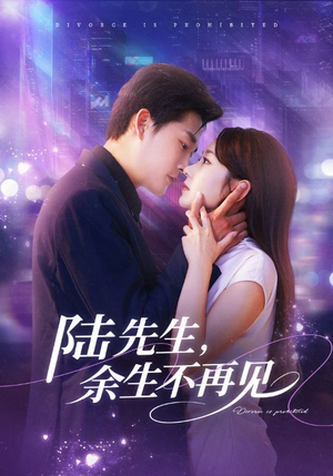 【陆先生，余生不再见（88集）】短剧免费高清在线播-第1张图片-热搜短剧最新分享